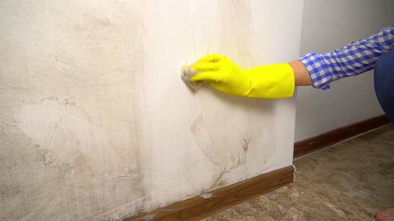 Best Industrial Mold Remediation  in Lake Forest, IL