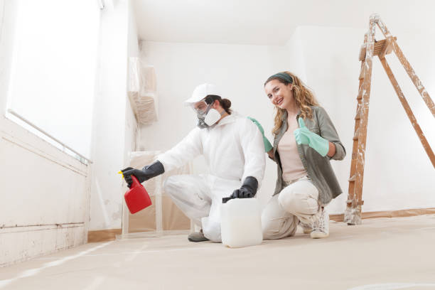 Best Mold Documentation for Insurance Claims  in Lake Forest, IL