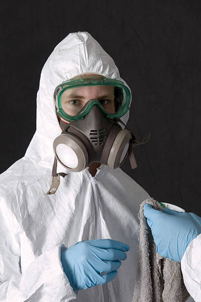 Best Emergency Mold Remediation  in Lake Forest, IL